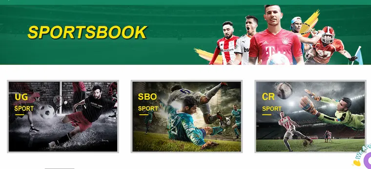 SBET VIP - Online Betting Paradise